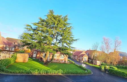 New traditional village house - Foto 2