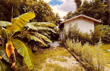 Bienvenidos a la Pequeña Selva de Legnalife - Foto 30