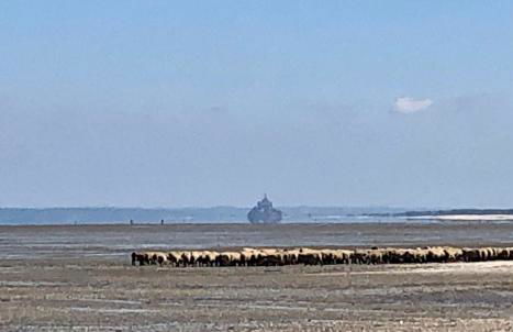 Villa Noroit - Foto 57