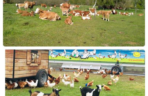 Weidelandfarm am Riebener See - Photo 16