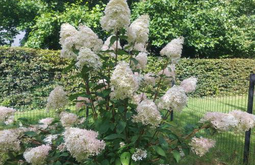 Gîte, Le Séchoir à Lin demeure de charme - Foto 9