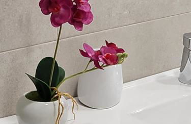 Apartamento Paula - Foto 34