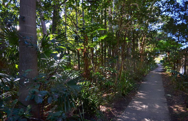 Raintrees Resort - Foto 66