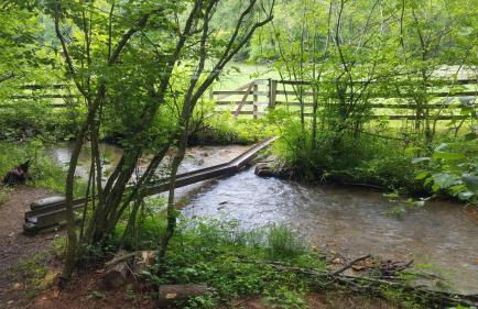 Appalachian Cabin- Trout Stream Firepit Hot Tub - Foto 24