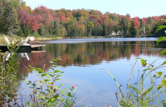 Blueberry Lake Resort - Photo 35