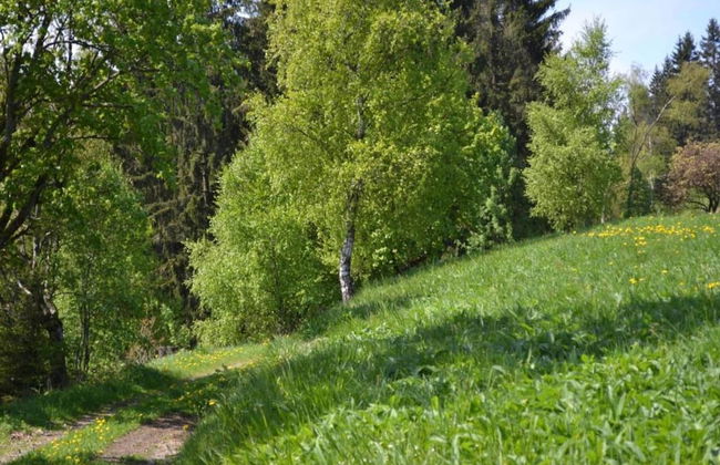 Wohnung in Wildemann Nahe Harzwald - Foto 29