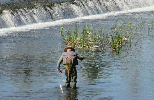 Rue des Douves - Foto 40