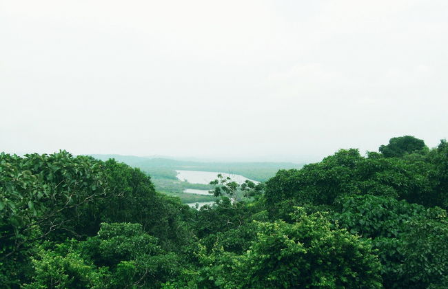 ACCOVAH Casa V - Photo 28