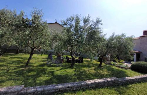 Apartmani Tara Medulin - Foto 71