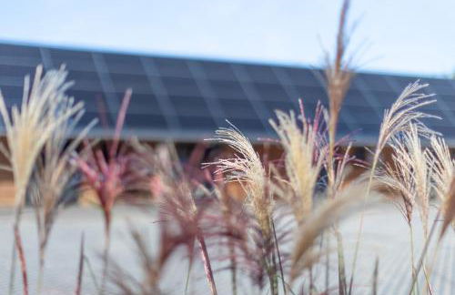 Lodges at Flimwell Park - Foto 16