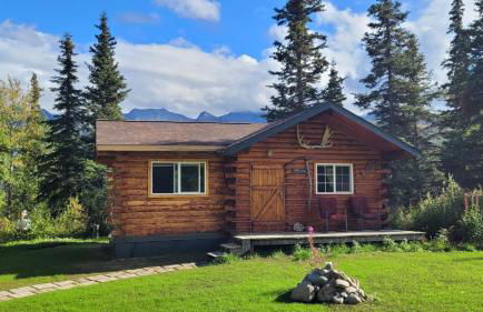 Little Bear Getaway Cabins - Foto 54