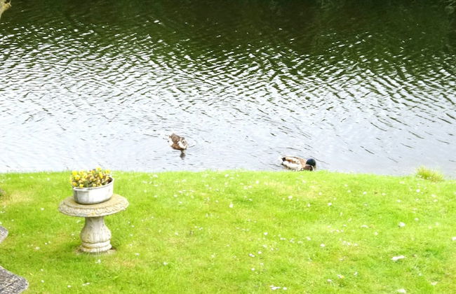 6 Pers Holiday Home Leonie With a Large Garden Close to the Lauwersmeer - Foto 31