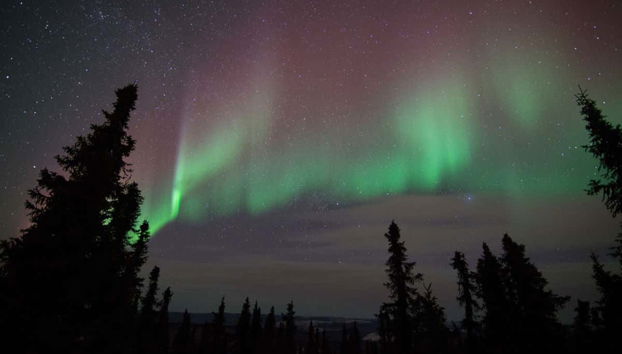 Sarà un'esperienza unica!