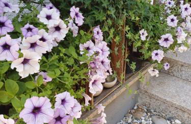 Ferienwohnung Sylvia - Photo 5