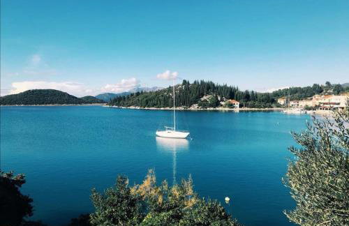 Apartman OZANA - Photo 37