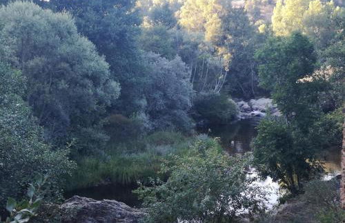 La nueva Escuela - Foto 28