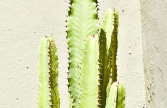 Nuevo apartamento en La Laguna - Foto 31