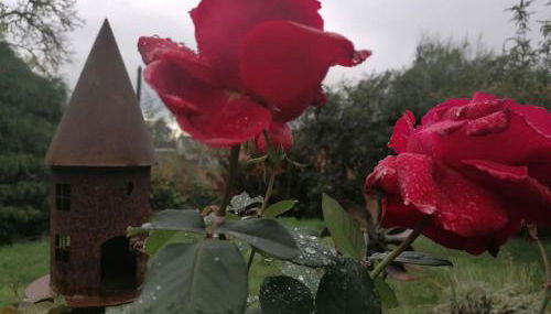 10 min nach Augsburg - Apartment mit Extra-Eingang - Foto 5