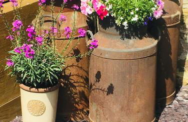 Anvil Cottage - Foto 38