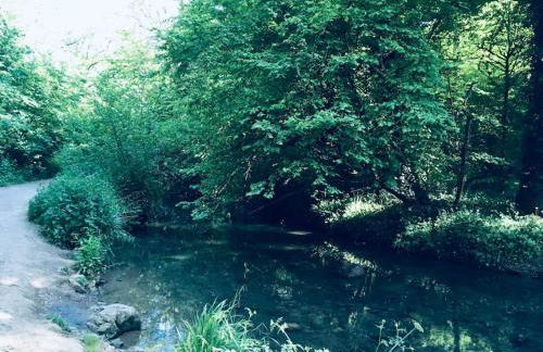 Stunning Renovation edge of Frome + country views - Photo 18