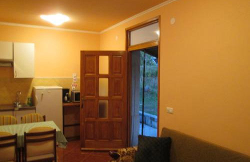 apartman Vojskovic - Foto 9