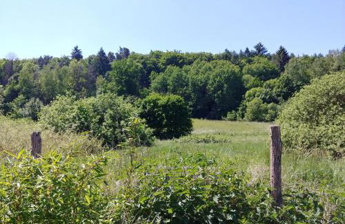 Ferienhaus Naturpur Chorin - Foto 63