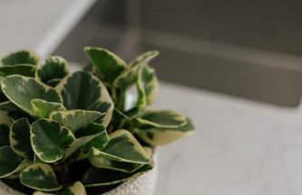 Dock 1 Suites - Foto 19