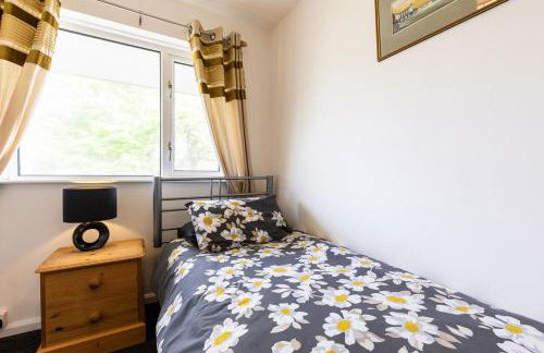 Cariad Y Mor - Foto 21