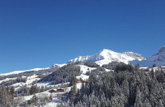 Chalet Wäschhüsi - Foto 8