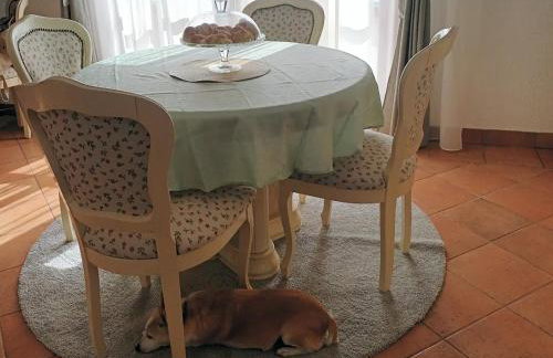 Villa Wolf Castle - vanjski grijani bazen 365 dana i pet friendly - Foto 22