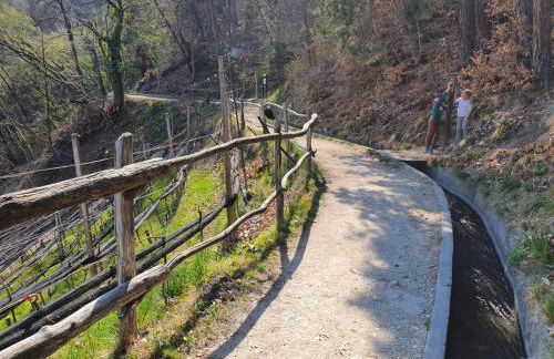 Marlingsuites - Foto 46