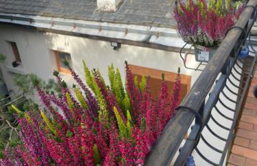 Champoiseau - Foto 22