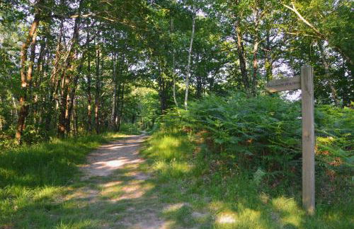 Gite de charme, Sologne, séjour en famille, jeux, balade nature en forêt & détente, centre Aubigny - Foto 41