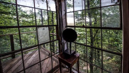 Treetop Hideaways: Luna Loft Treehouse - Foto 5