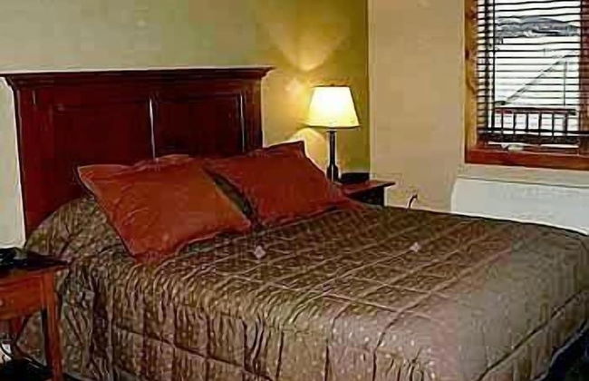 Morning Eagle - Photo 4