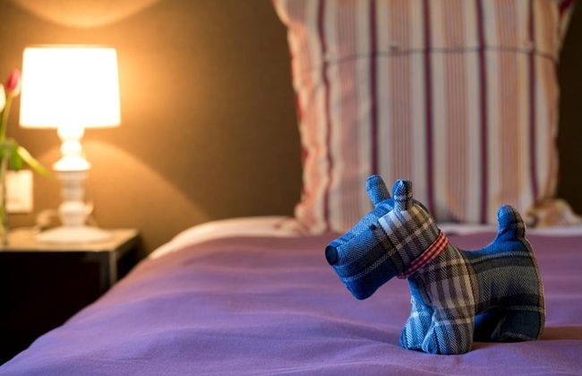 Cascina Marcantonio - Photo 24