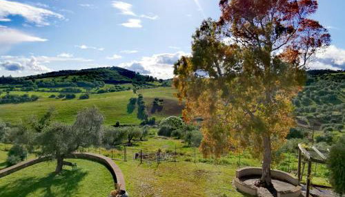 Fattoria Tolomei - Foto 5, Garden