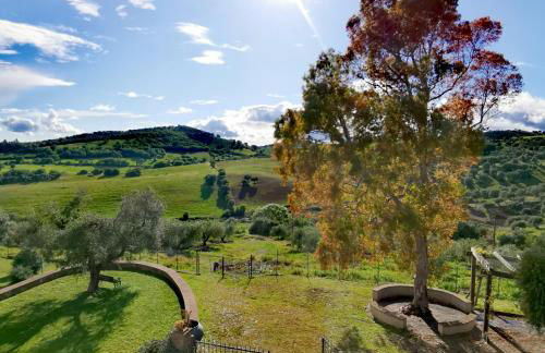 Fattoria Tolomei - Foto 5