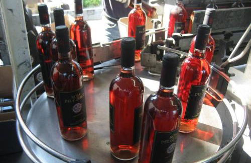 wine apartment le sedici - Foto 17