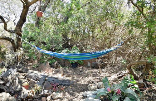 Colori della Sardegna - Foto 20