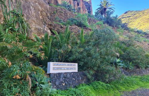Haciendita Gomera - Foto 7