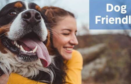 Harpers Ferry Cottage Hot Tub, WiFi, Dog-Friendly - Foto 20