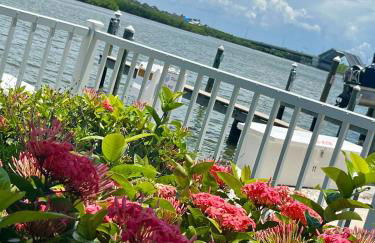 Barefoot Beach Resort in Indian Shores Minutes from Clearwater Beach - Foto 38
