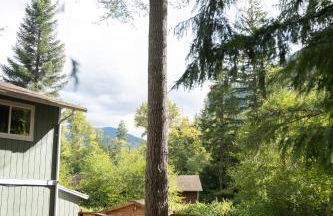 Forest Escape at Wilderness Rim - Foto 35