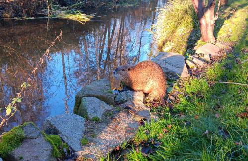 Spreequartier - Foto 20