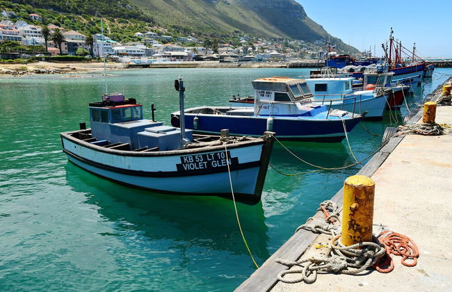 Bradclin House - Foto 72