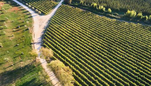 Quinta do Porto Nogueira - Foto 4