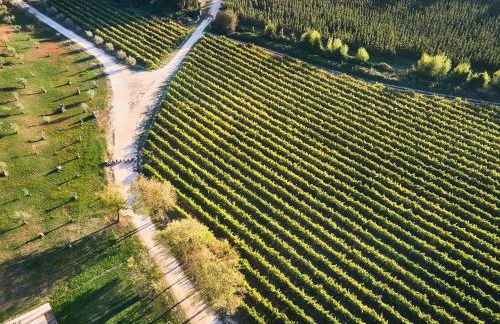 Quinta do Porto Nogueira - Foto 4