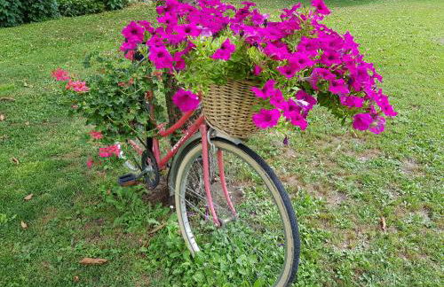 Grange Voutée avec jardin - Foto 14