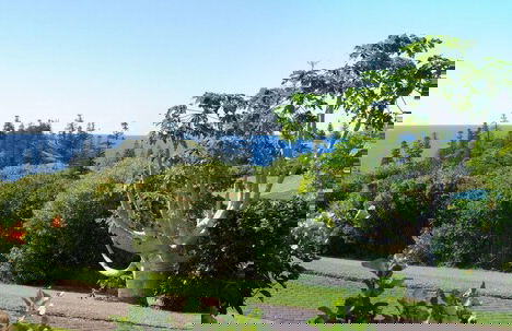 Cascade Garden Apartments - Foto 21